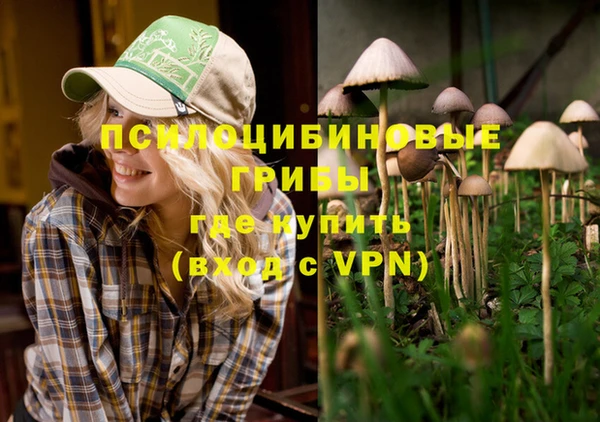 mdma Щигры